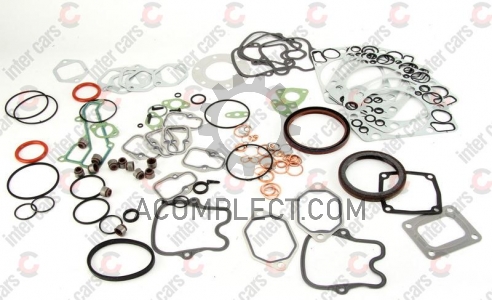 Прокладки двигателя (к-т) (полный) Mercedes-Benz Victor Reinz 01-25105-38