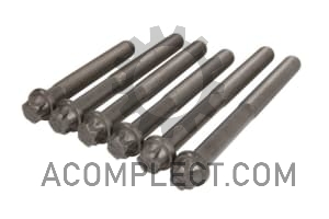 Болты ГБЦ (к-кт) D2866 Man+...